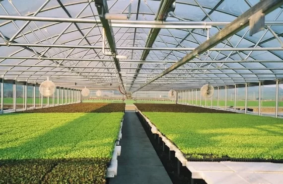 how-to-build-a-quonset-hut-greenhouse