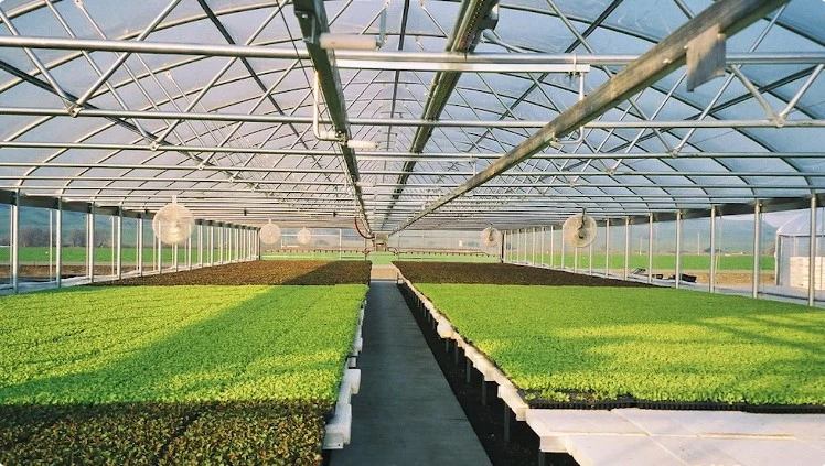 how-to-build-a-quonset-hut-greenhouse